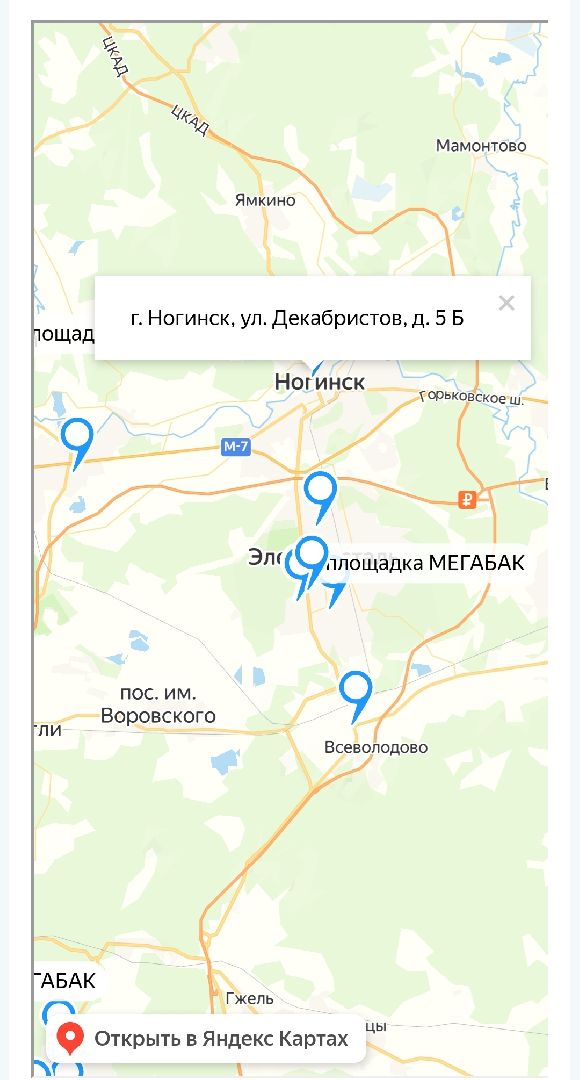 экологическая акция, Ногинск, Богородский городской округ, елки,