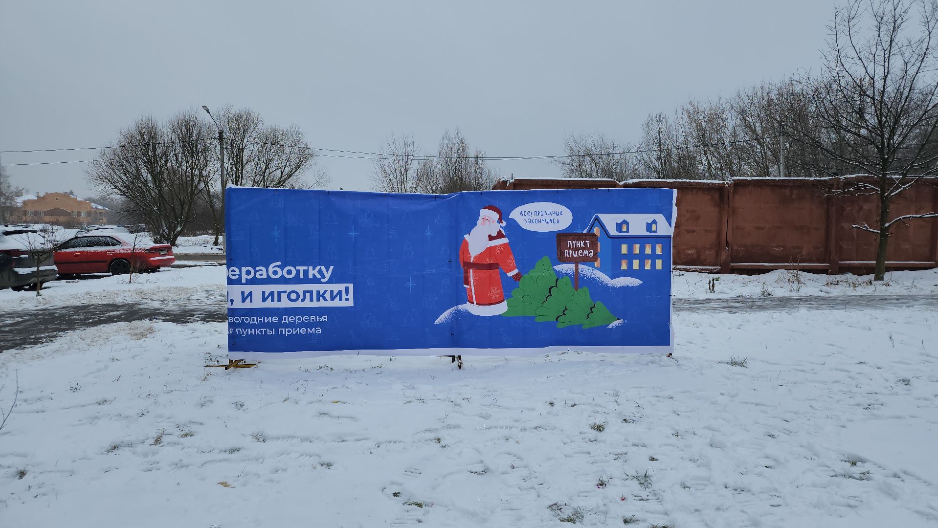 экологическая акция, Ногинск, Богородский городской округ, елки,