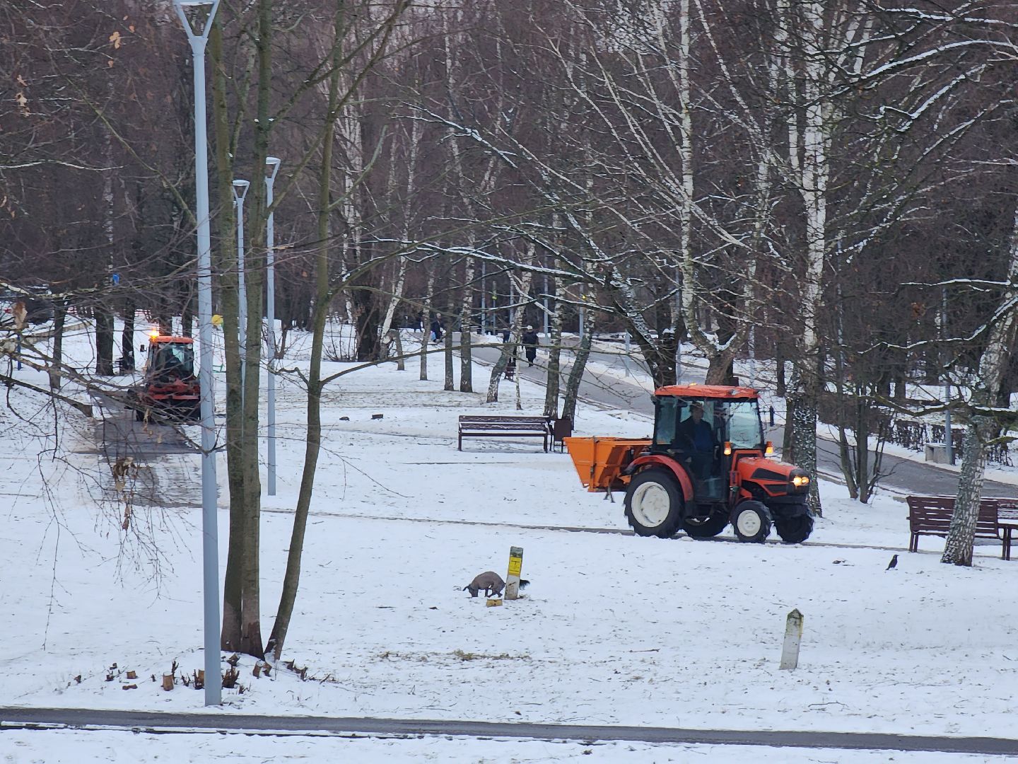 пущино, серпухов, благоустройсво, уборка снега, вертикалки,