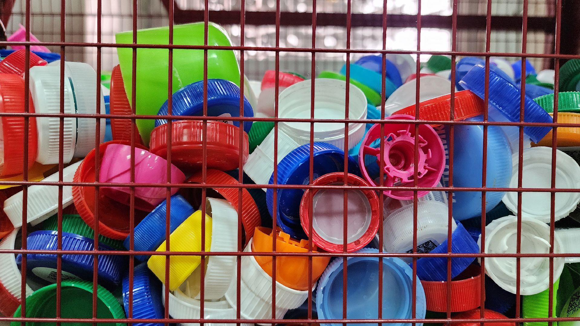 переработка пластика, акция Полезные крышечки, волонтеры, Ногинск, Богородский городской округ,