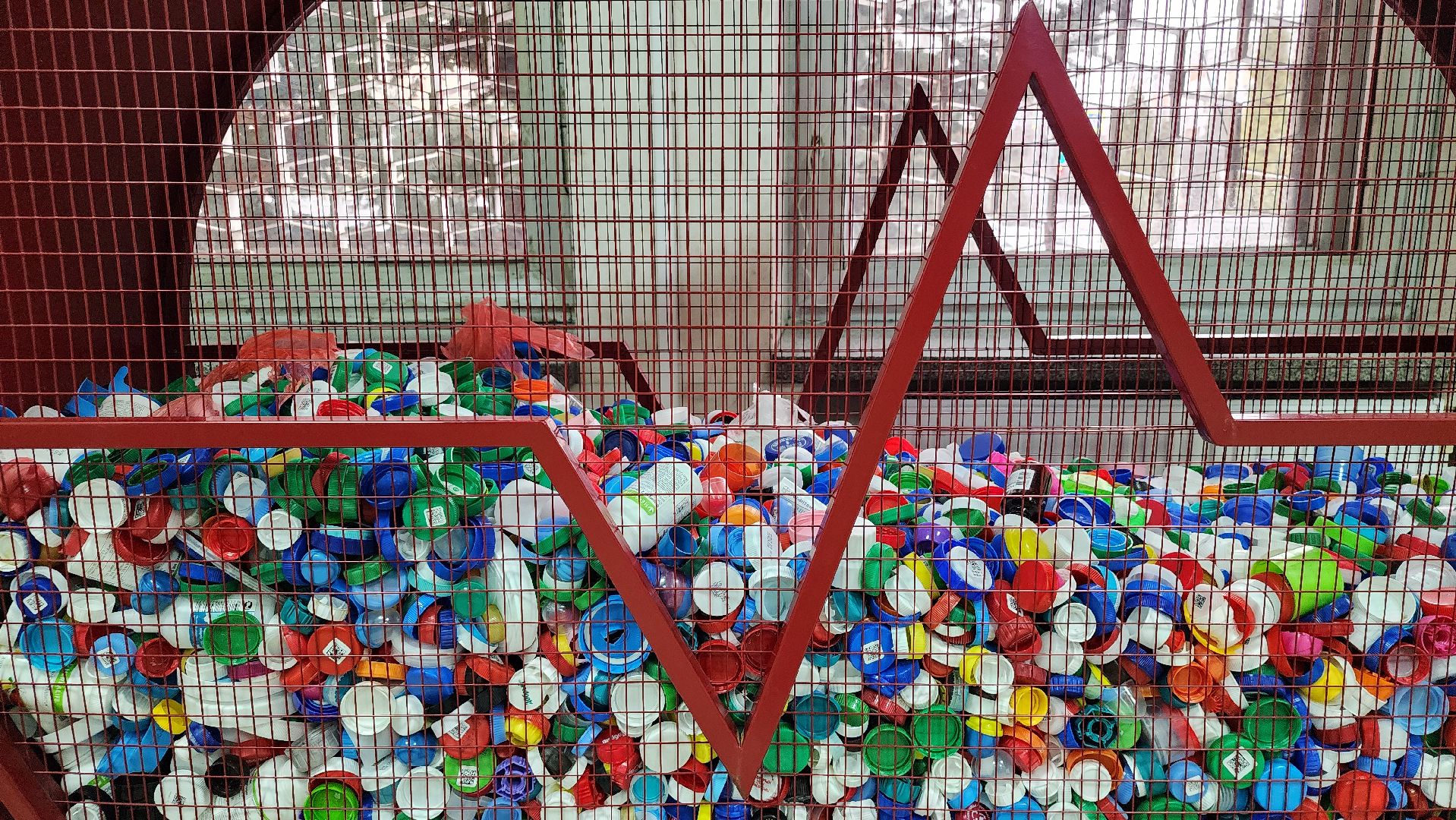 переработка пластика, акция Полезные крышечки, волонтеры, Ногинск, Богородский городской округ,