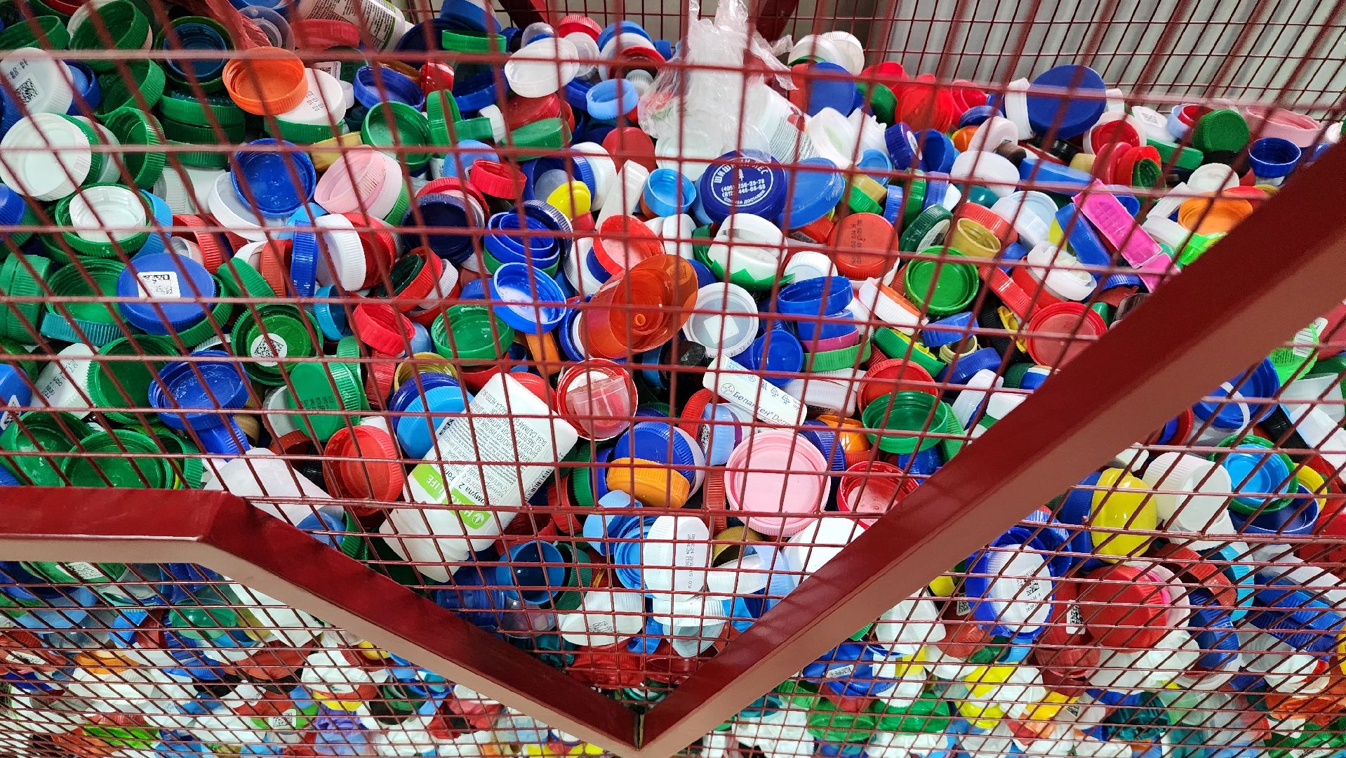 переработка пластика, акция Полезные крышечки, волонтеры, Ногинск, Богородский городской округ,