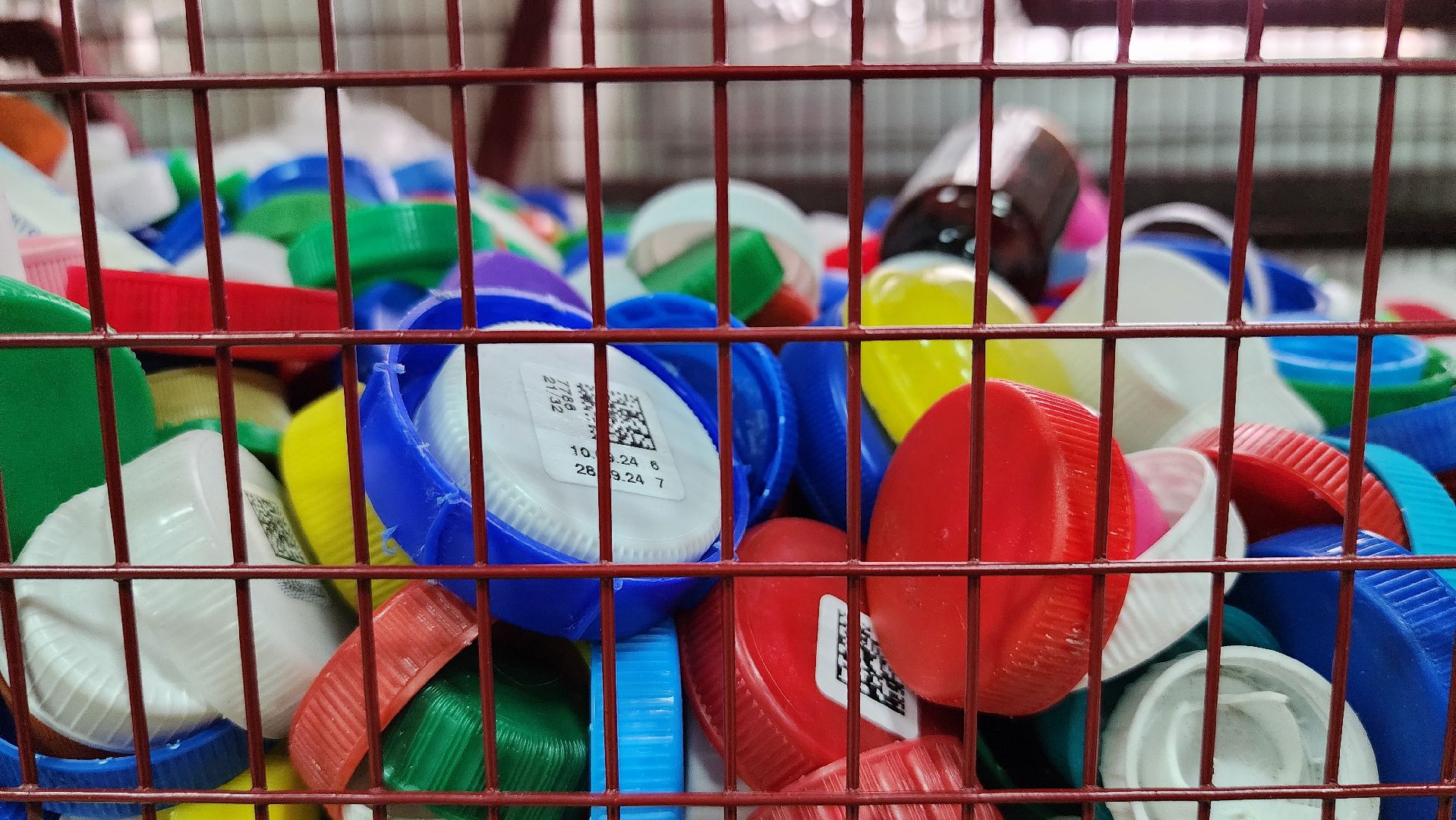 переработка пластика, акция Полезные крышечки, волонтеры, Ногинск, Богородский городской округ,