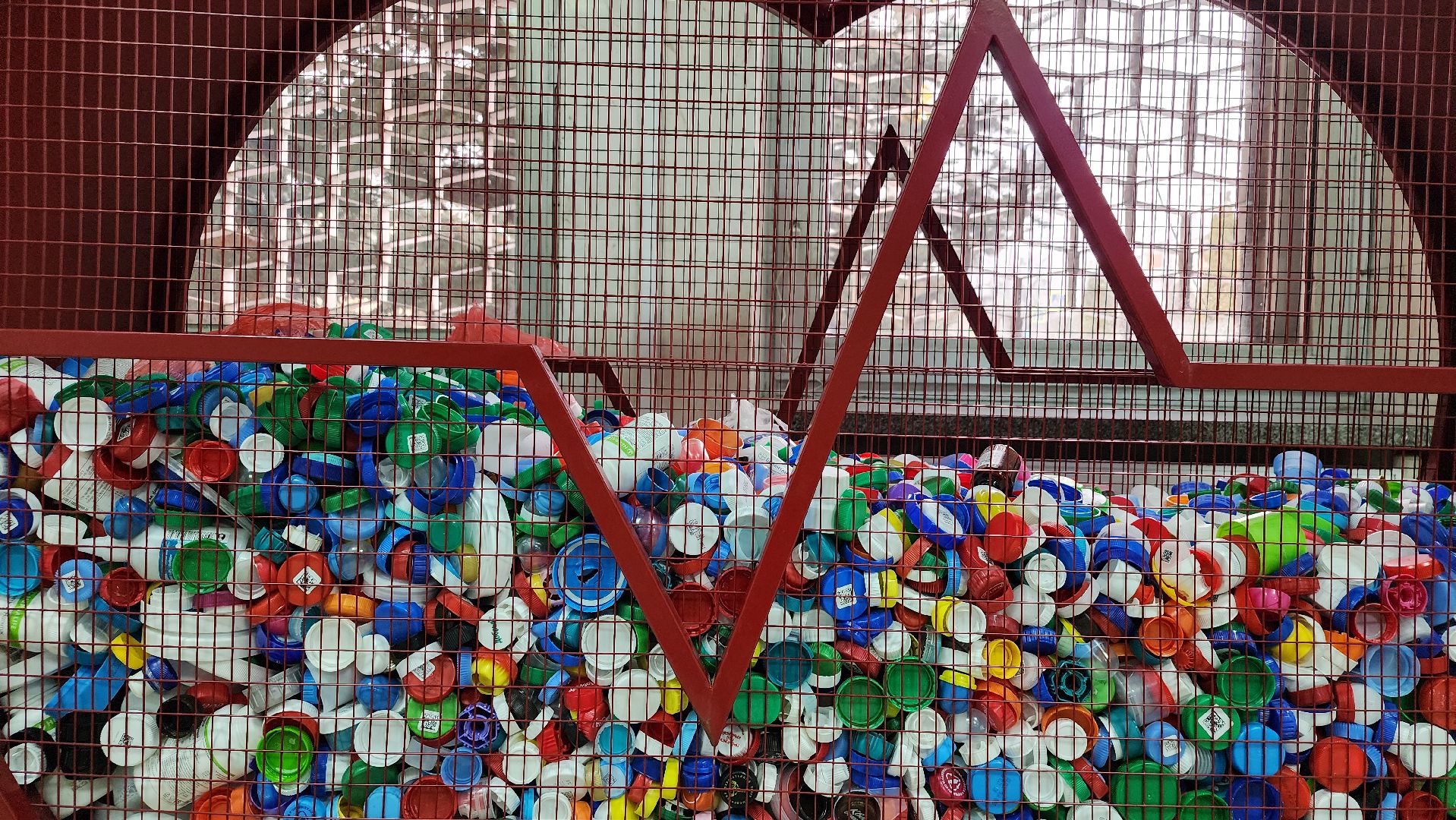 переработка пластика, акция Полезные крышечки, волонтеры, Ногинск, Богородский городской округ,