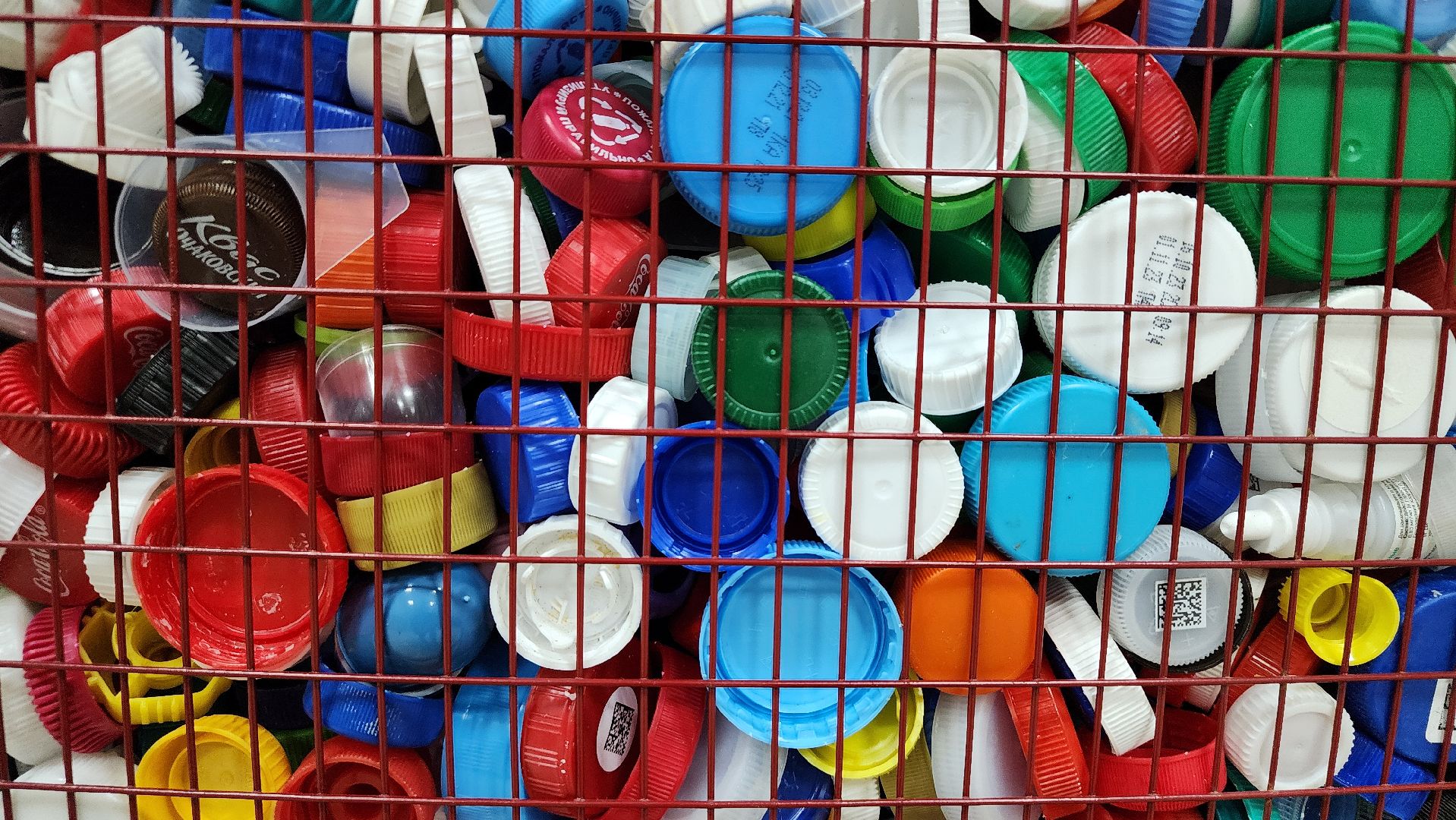 переработка пластика, акция Полезные крышечки, волонтеры, Ногинск, Богородский городской округ,