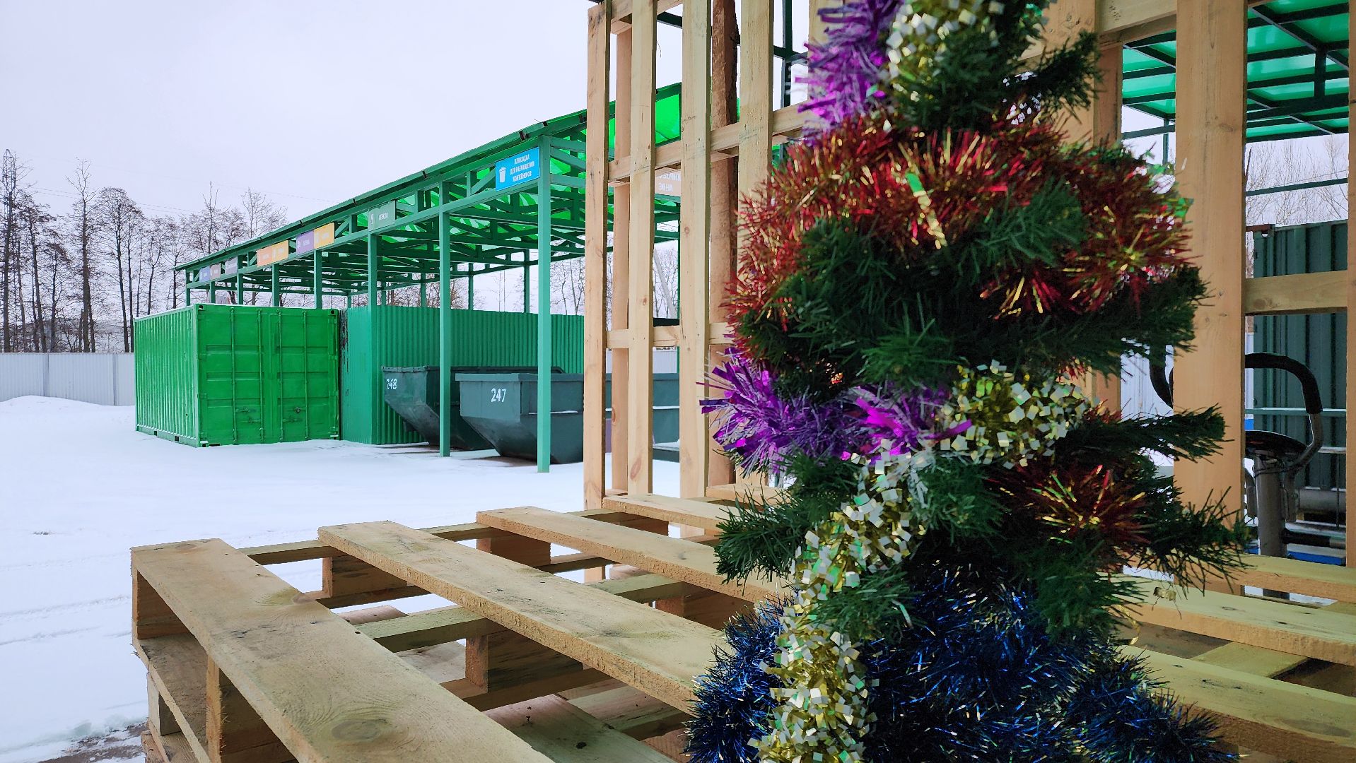 Бронницы, Эко-акция, Сдай елку на переработку, Мегабак, вертикалки,