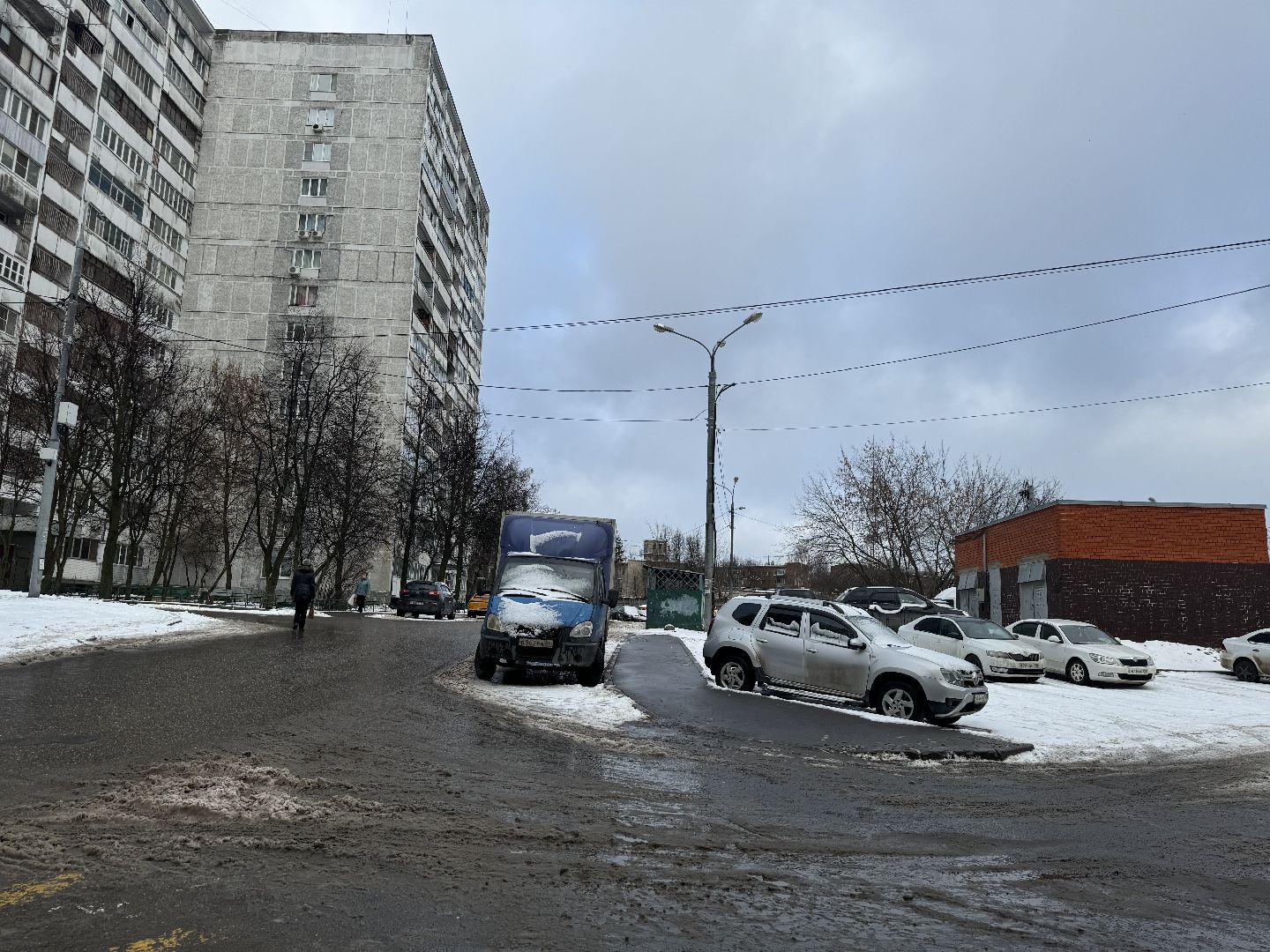 Акция, Новогодние ели, ленинский городской округ,