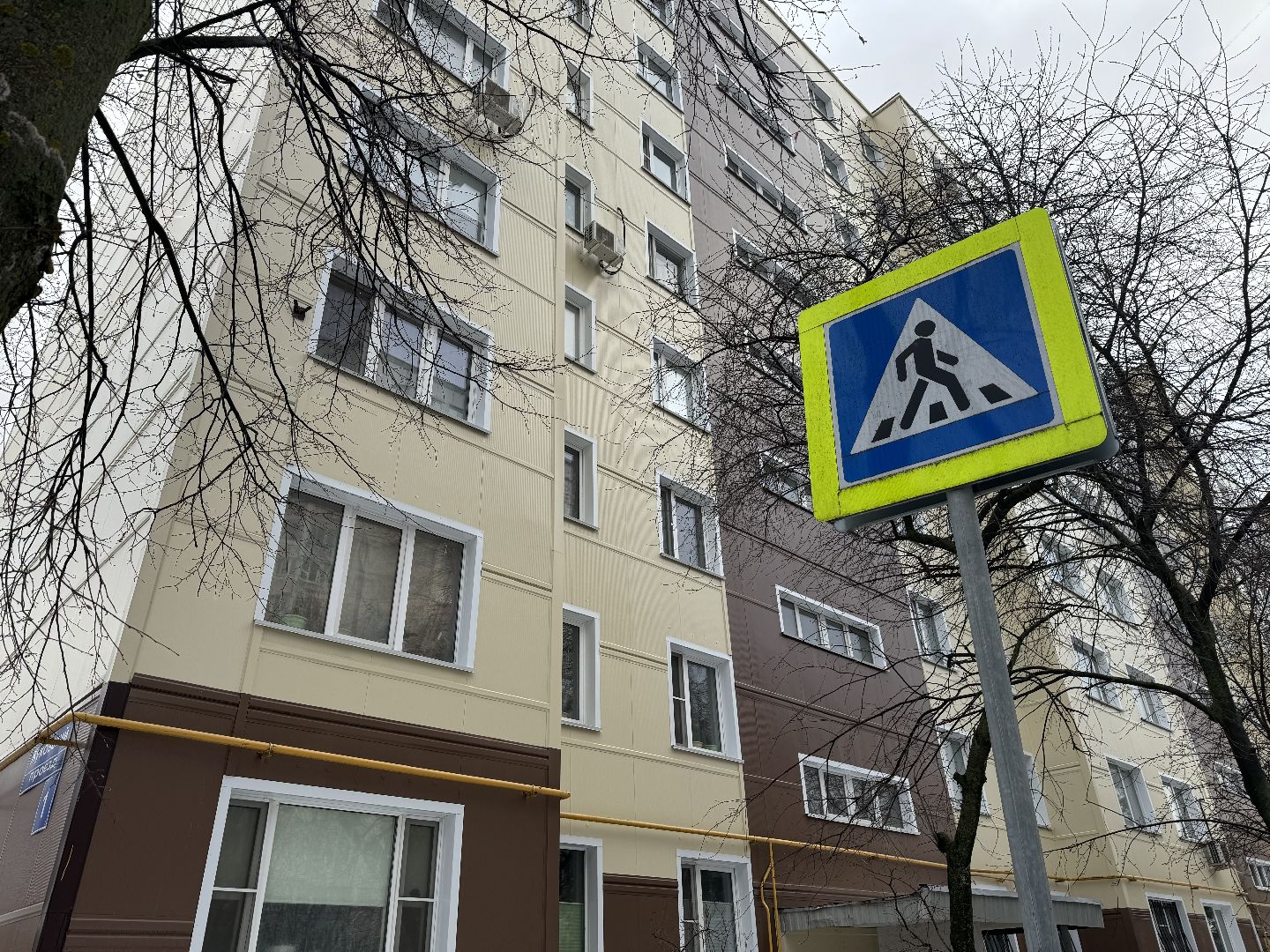 Акция, Новогодние ели, ленинский городской округ,