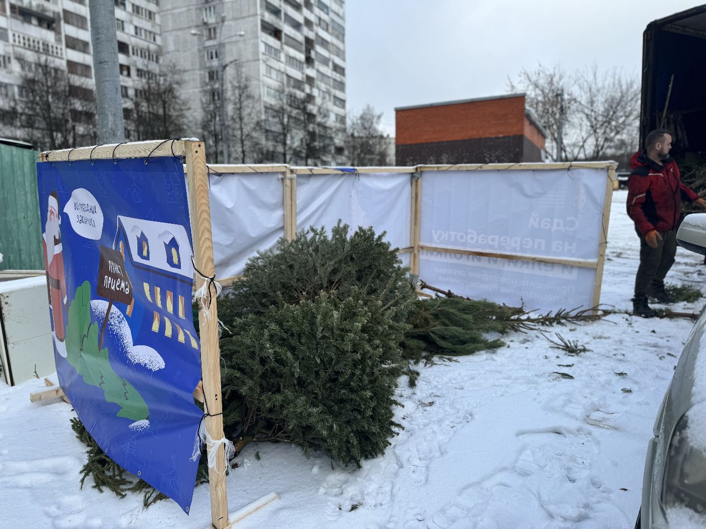 Акция, Новогодние ели, ленинский городской округ,