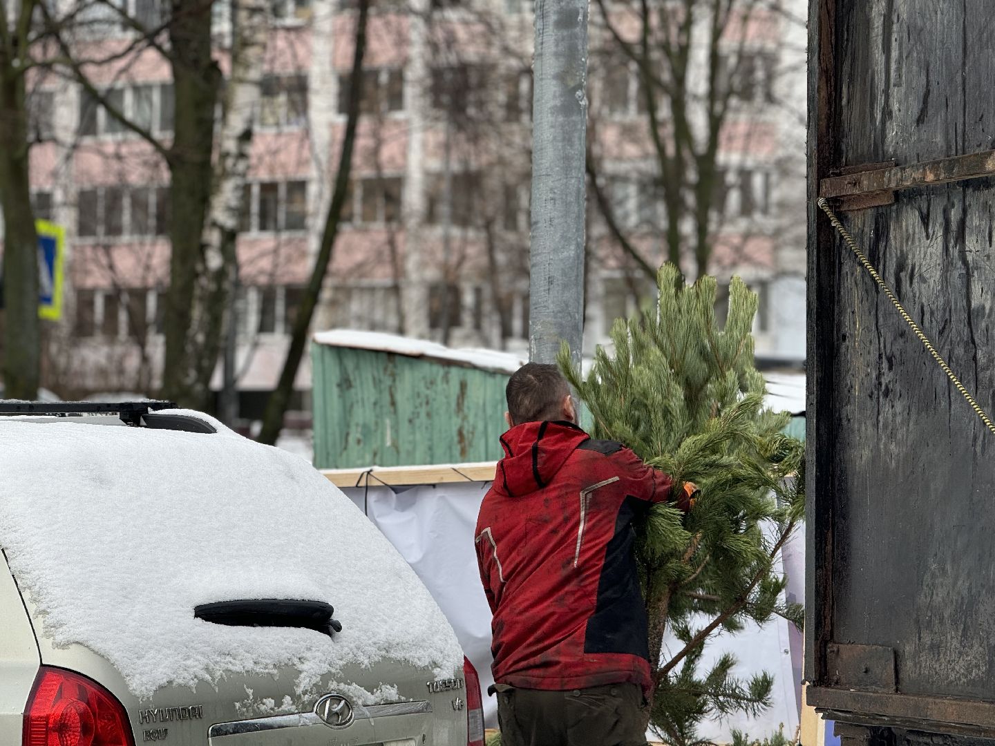 Акция, Новогодние ели, ленинский городской округ,