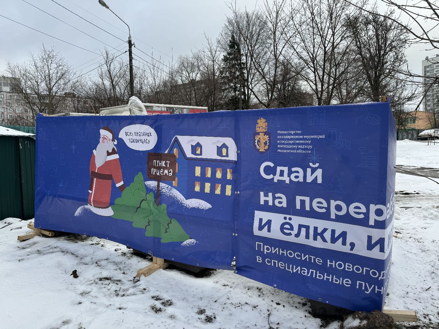 Акция, Новогодние ели, ленинский городской округ,