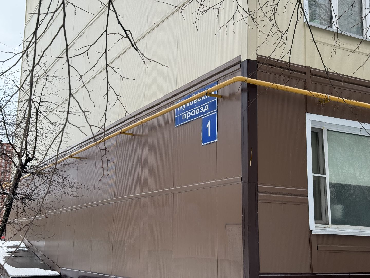 Акция, Новогодние ели, ленинский городской округ,