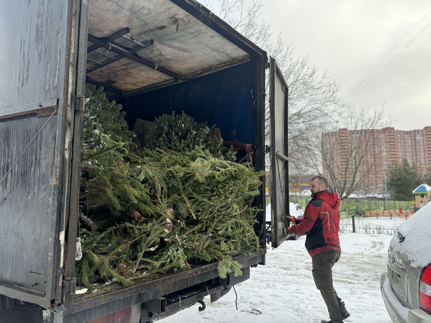 Акция, Новогодние ели, ленинский городской округ,