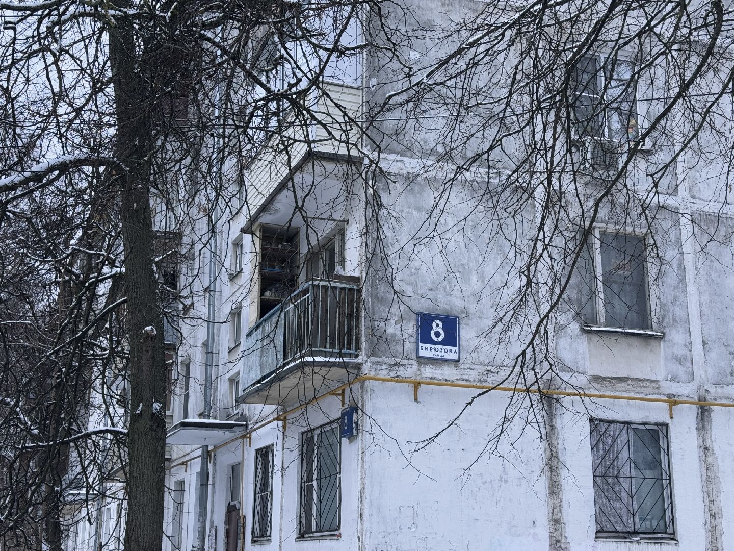 сдай елку на переработку, Экология, Вторая жизнь елке, Одинцовский округ, Благоустройство,вертикалки,