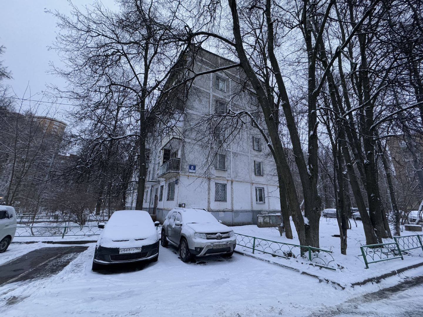 сдай елку на переработку, Экология, Вторая жизнь елке, Одинцовский округ, Благоустройство,вертикалки,