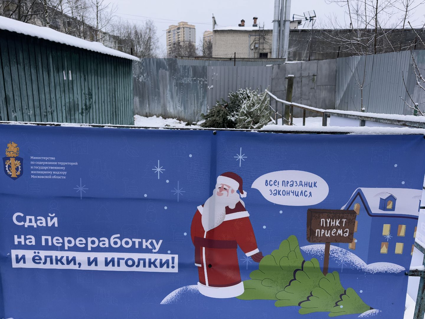 сдай елку на переработку, Экология, Вторая жизнь елке, Одинцовский округ, Благоустройство,вертикалки,