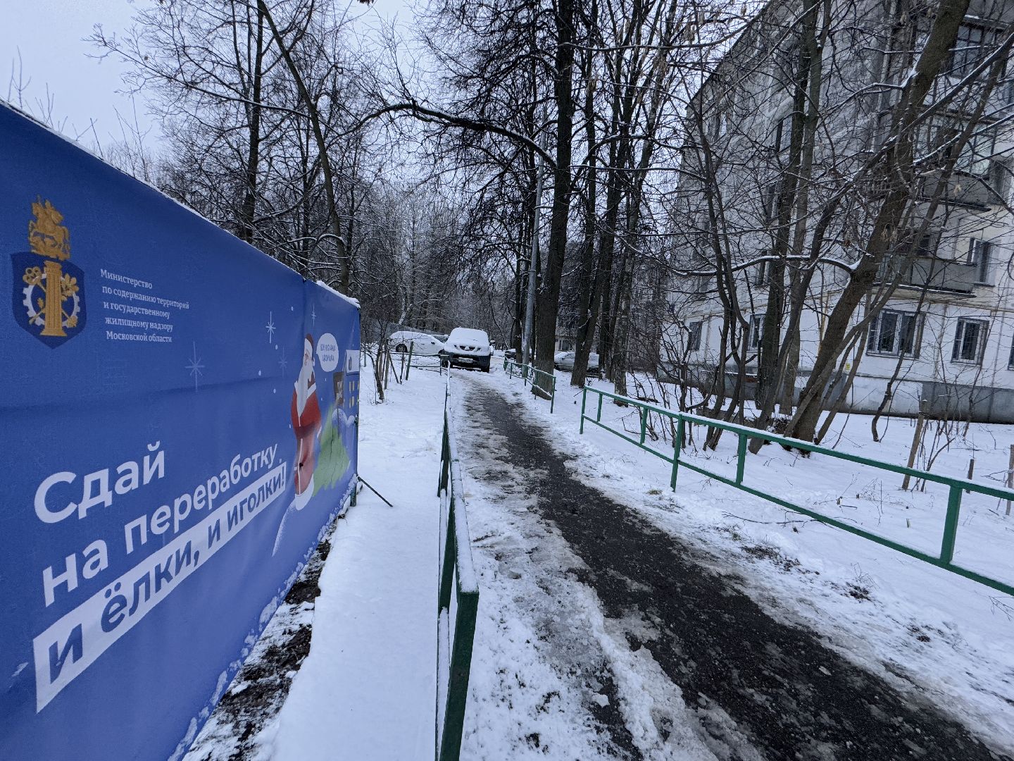 сдай елку на переработку, Экология, Вторая жизнь елке, Одинцовский округ, Благоустройство,вертикалки,