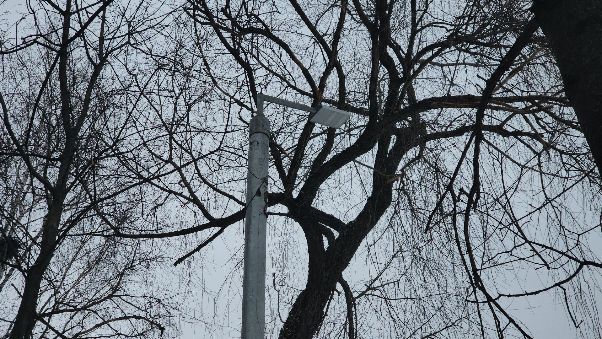 вертикалки, пушкино, опоры уличного освещения, детская площадка, светодиодные фонари, благоустройство,