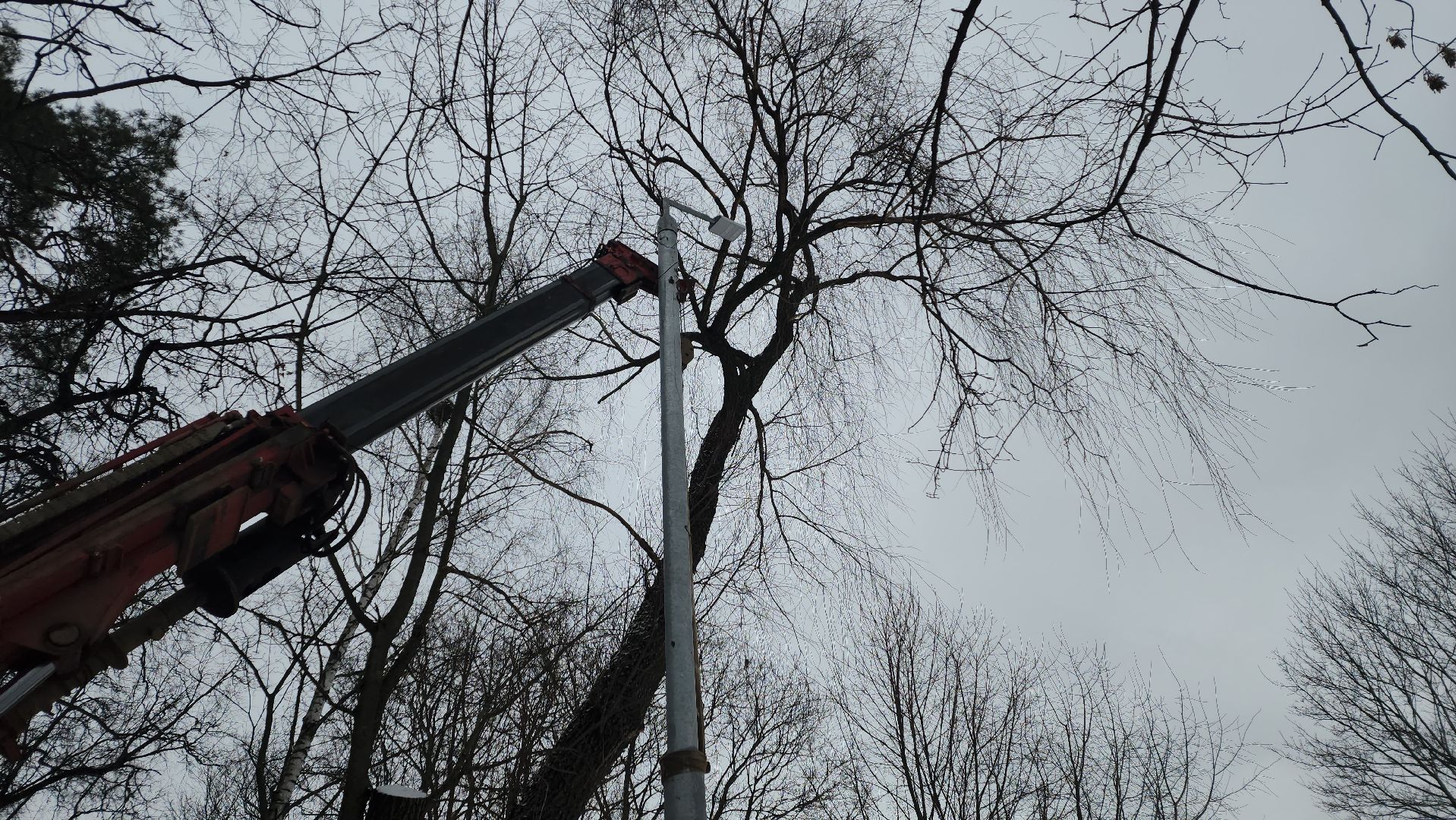 вертикалки, пушкино, опоры уличного освещения, детская площадка, светодиодные фонари, благоустройство,