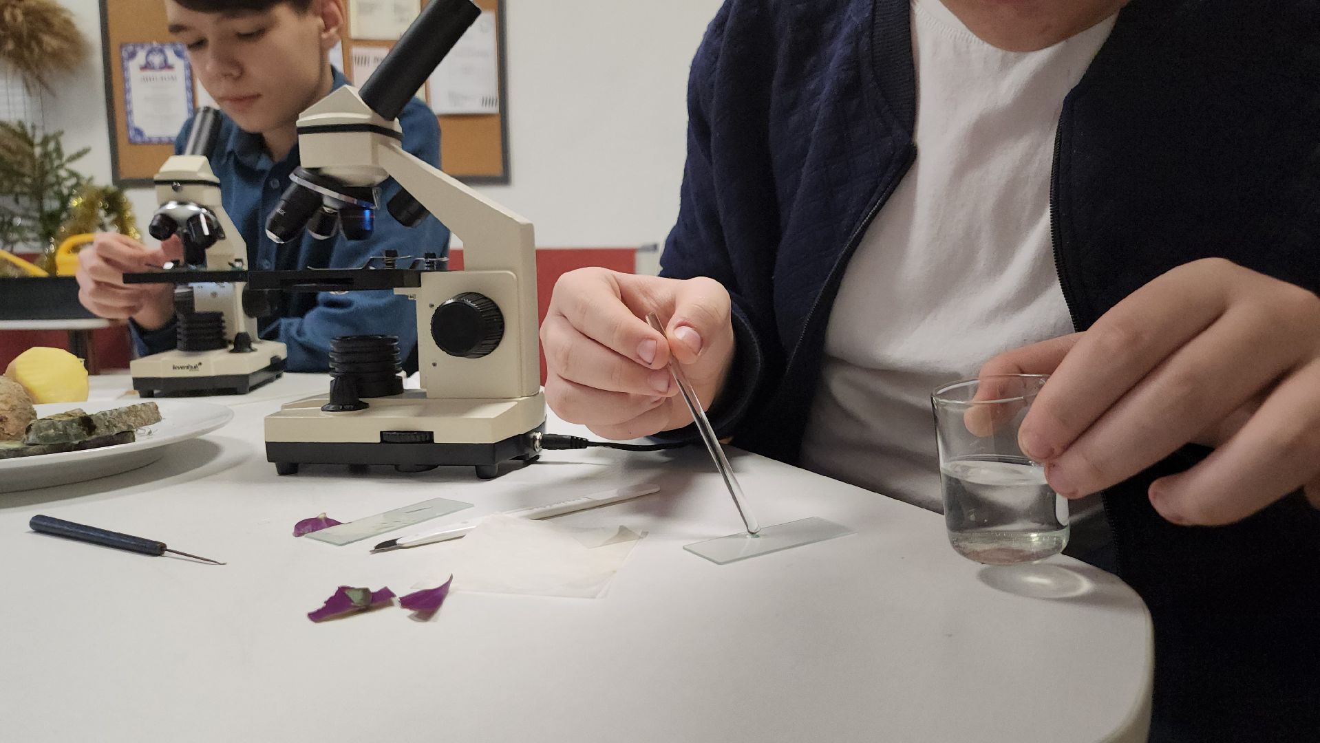 ступино, образование ступино, Малинская школа, агроклассы,