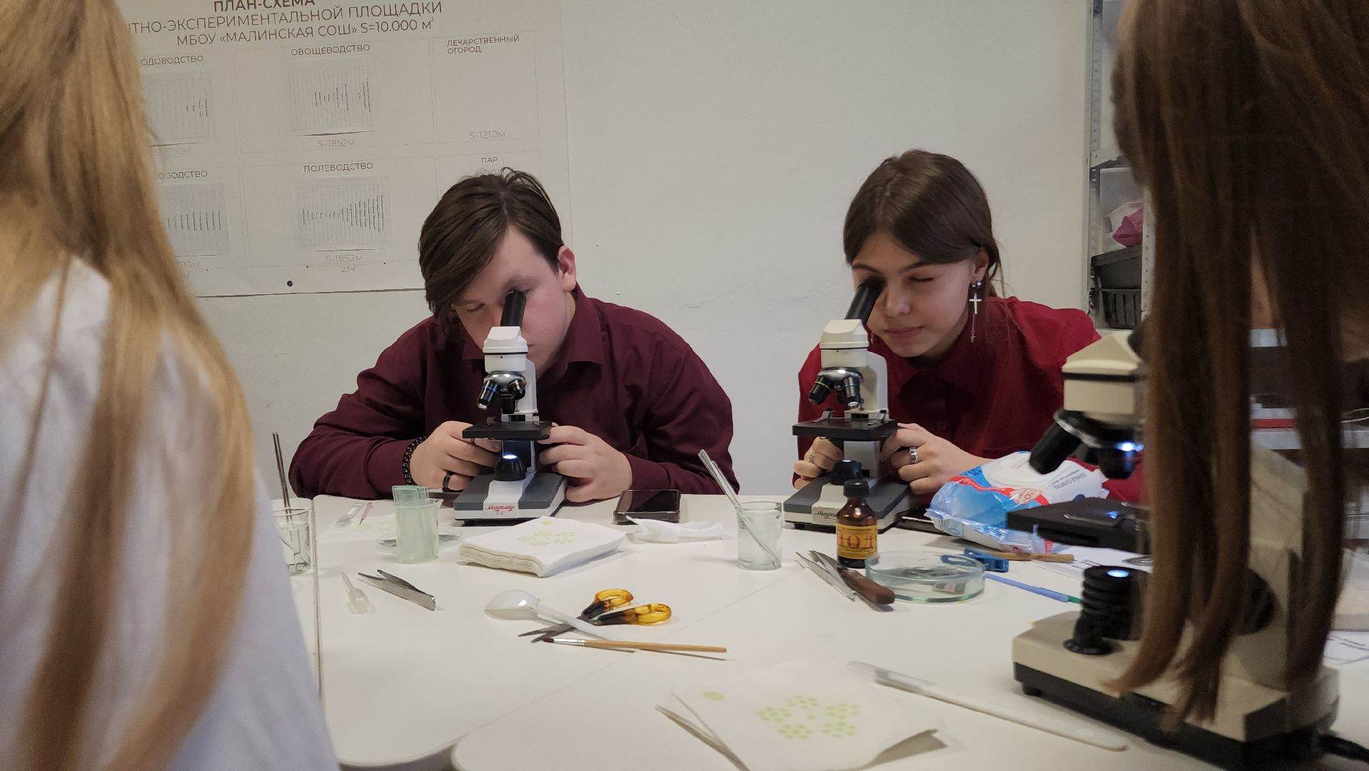 ступино, образование ступино, Малинская школа, агроклассы,