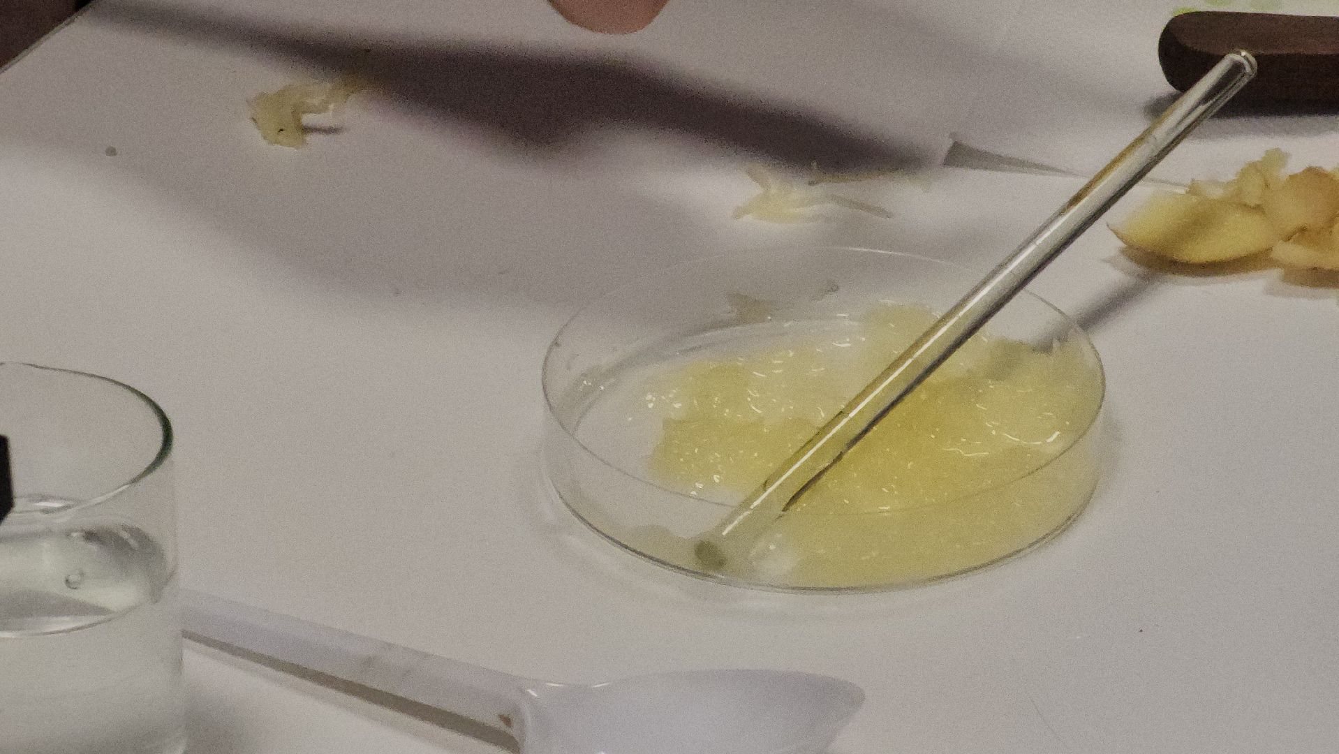 ступино, образование ступино, Малинская школа, агроклассы,