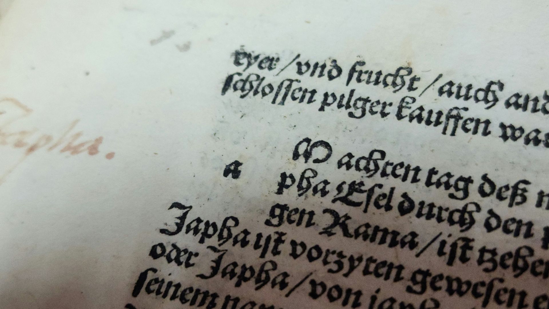 иосифо-волоцкий монастырь, музей библии, туризм, история, культура, волоколамск,