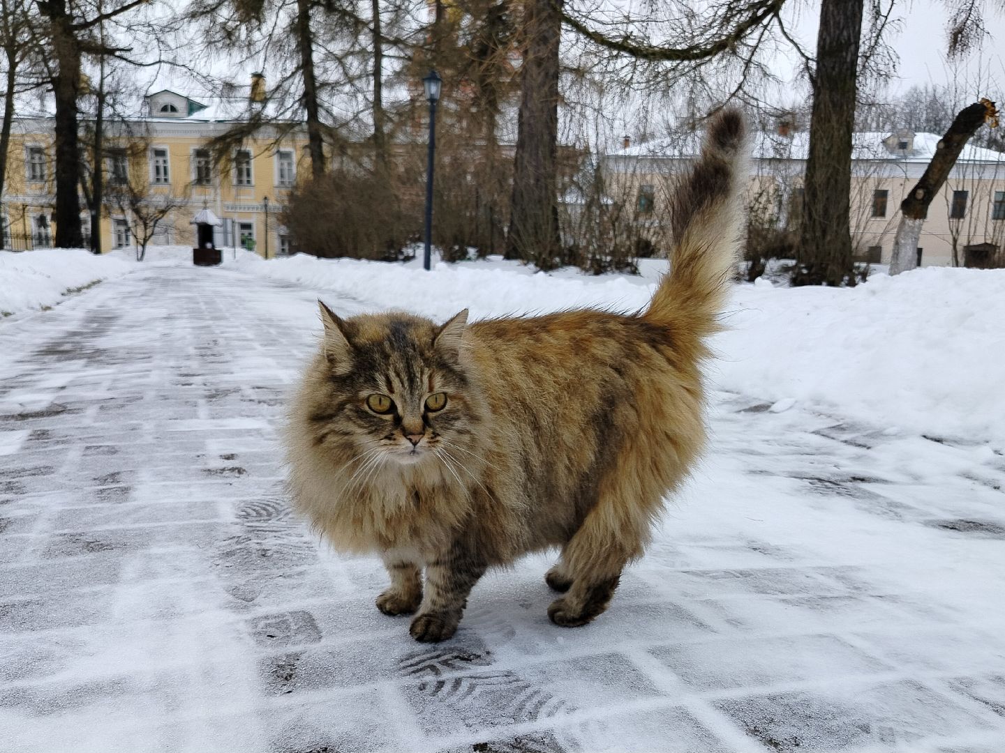 иосифо-волоцкий монастырь, музей библии, туризм, история, культура, волоколамск,