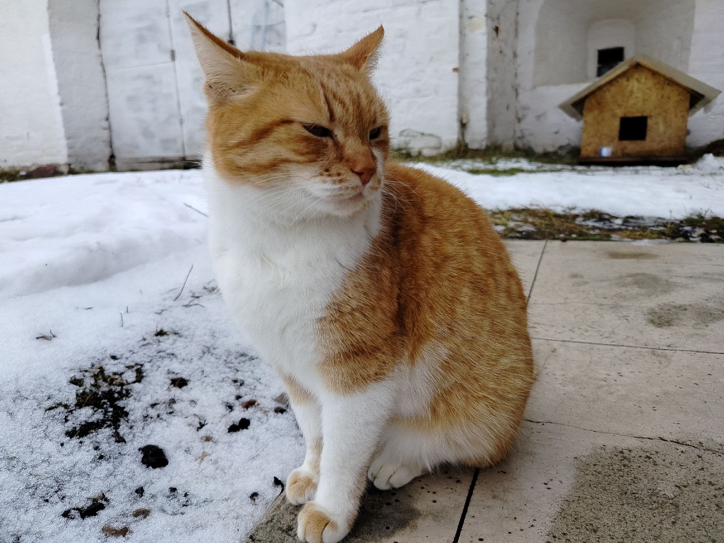 иосифо-волоцкий монастырь, музей библии, туризм, история, культура, волоколамск,