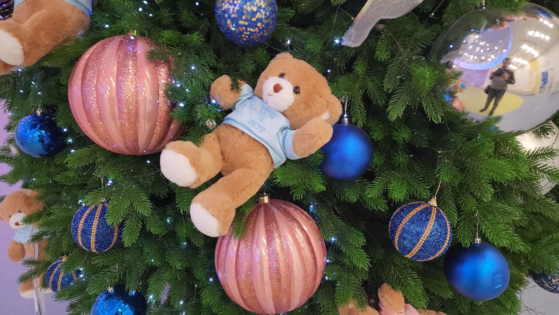 красногорск, медицина, вертикалки, клинический центр Рошаля,