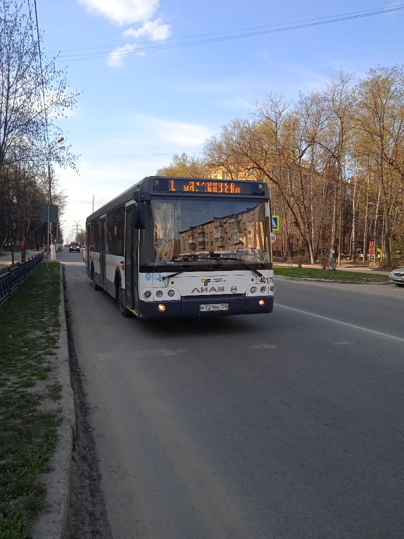 Красная, горка, автобусы, бесплатно, кладбище, Осровецкое