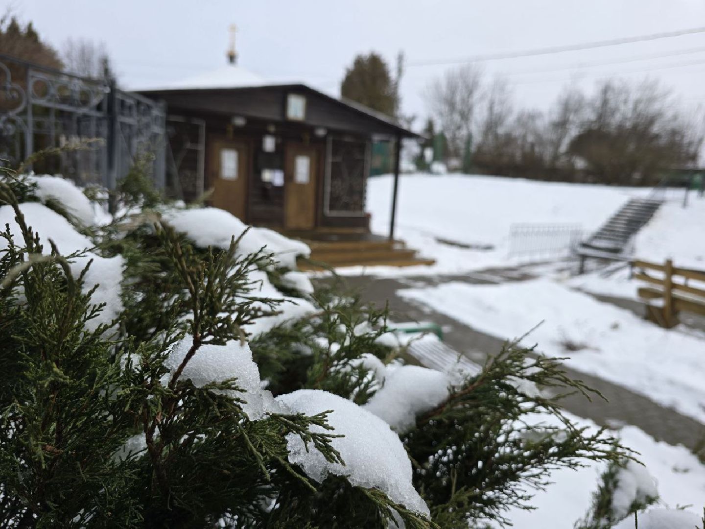 можайск, можайский городской округ, подмосковье, крещенские купания, крещение господне, православный праздник, купель, религия, вертикалки,