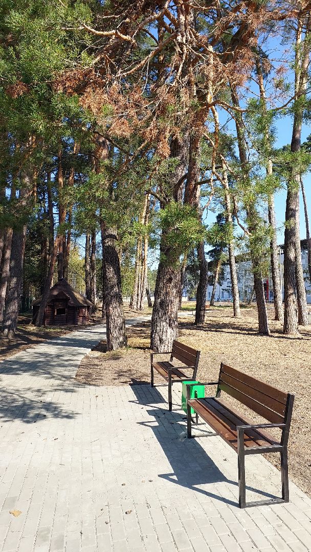 стадион спартак, стадион, серпухов, спартак, реконструкция, спорт,