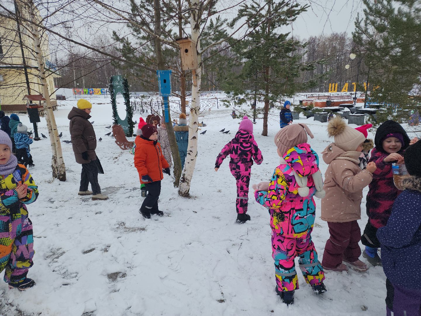 парк, птицы подмосковья, кормление птиц, акция в городском парке,