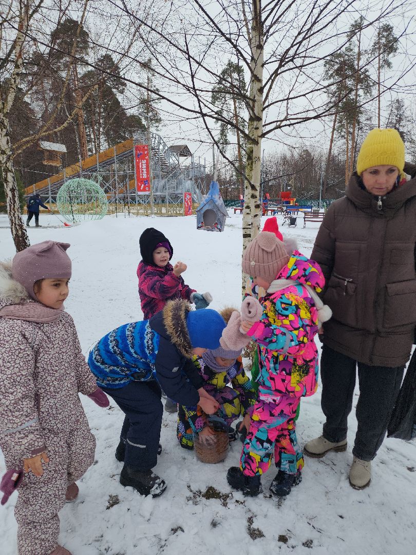 парк, птицы подмосковья, кормление птиц, акция в городском парке,