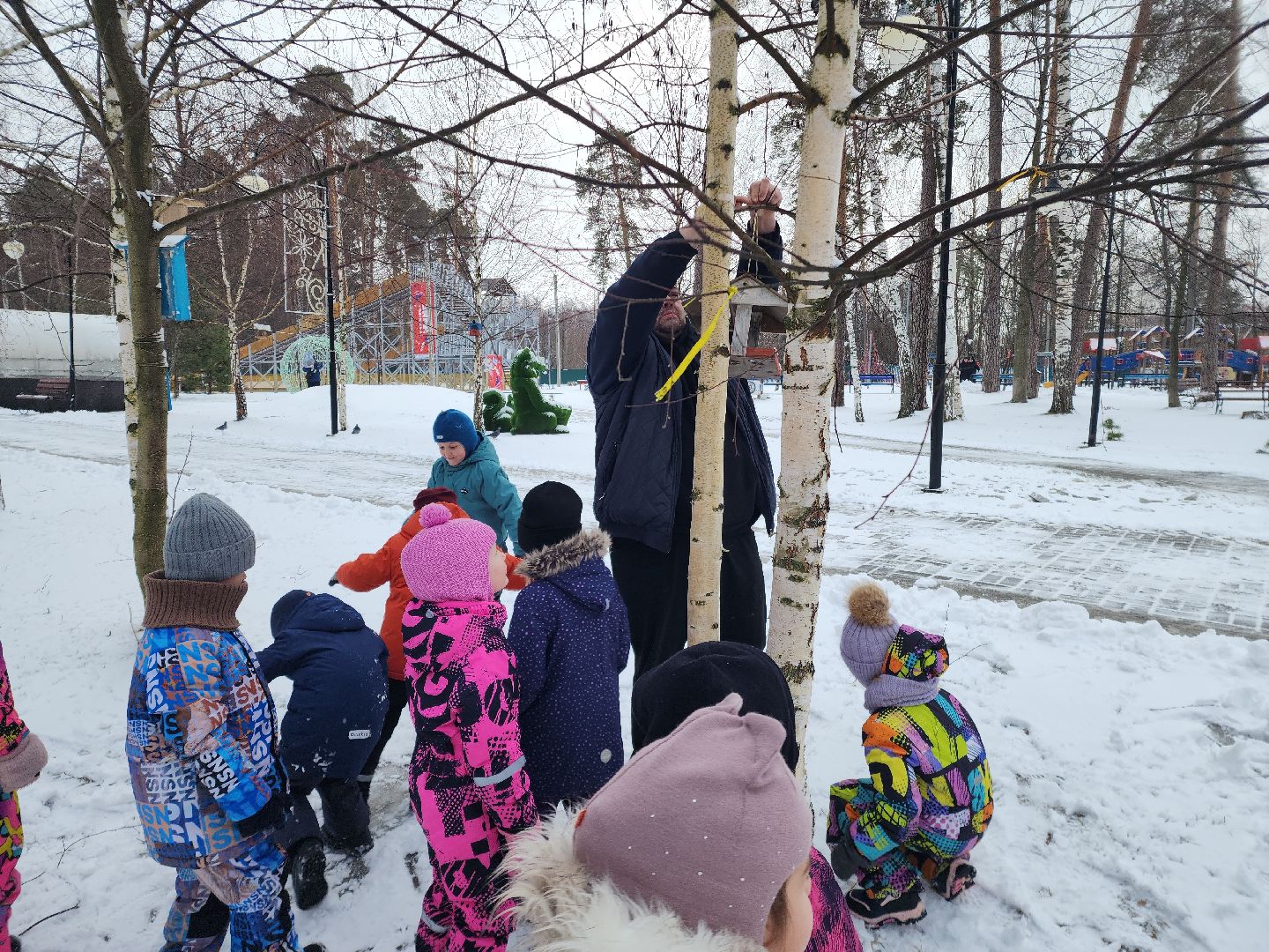 парк, птицы подмосковья, кормление птиц, акция в городском парке,