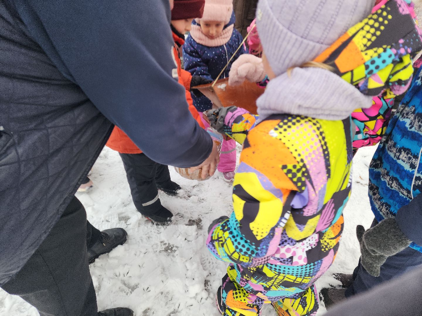 парк, птицы подмосковья, кормление птиц, акция в городском парке,