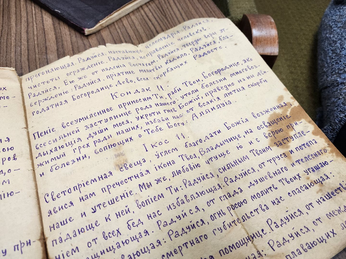 Дубна, Редкие издания, Архив, Поэт, Библиотека, вертикалки,