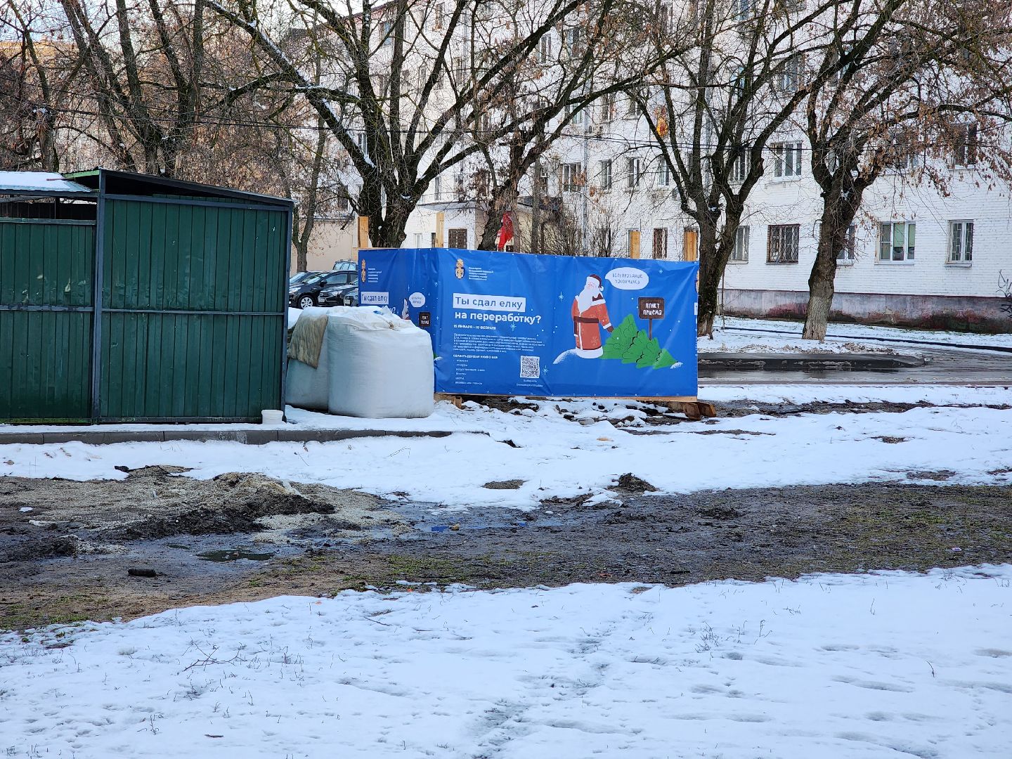 раменское, экология, акция по сбору старых живых новогодних елей,