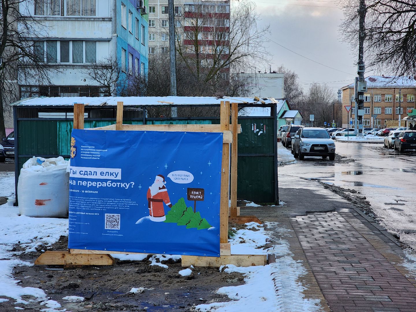 раменское, экология, акция по сбору старых живых новогодних елей,