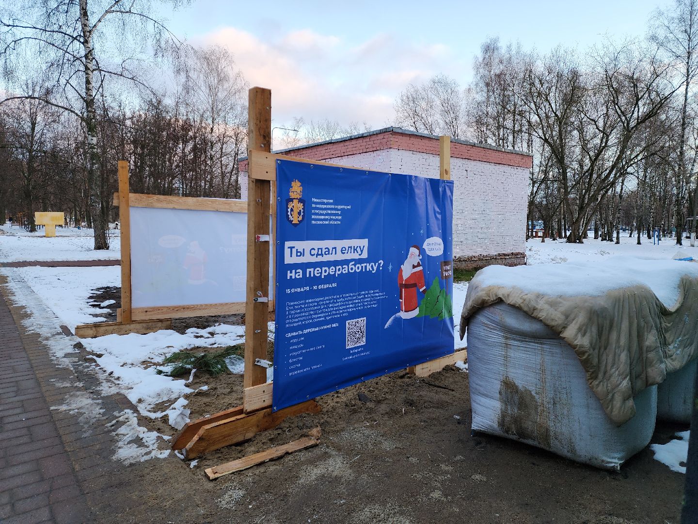 раменское, экология, акция по сбору старых живых новогодних елей,