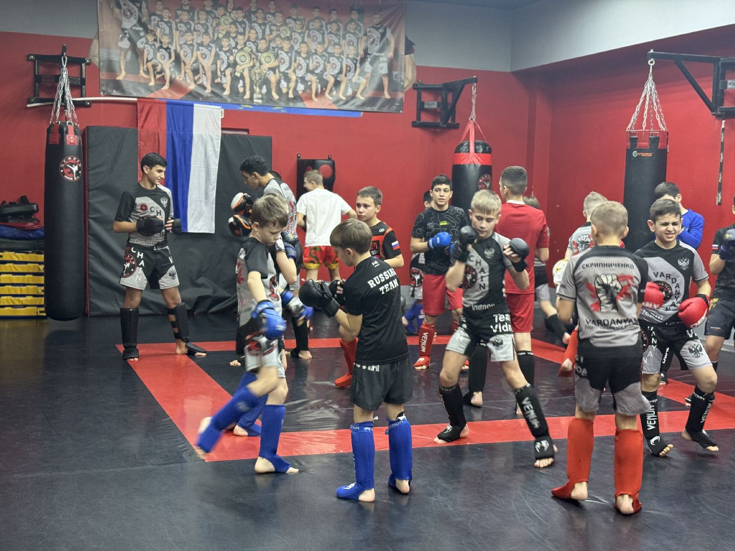 смешанные единоборства, боевое самбо, спорт, Юный чемпион, Чемпионат России по самбо, мма, Чемпионский пояс,