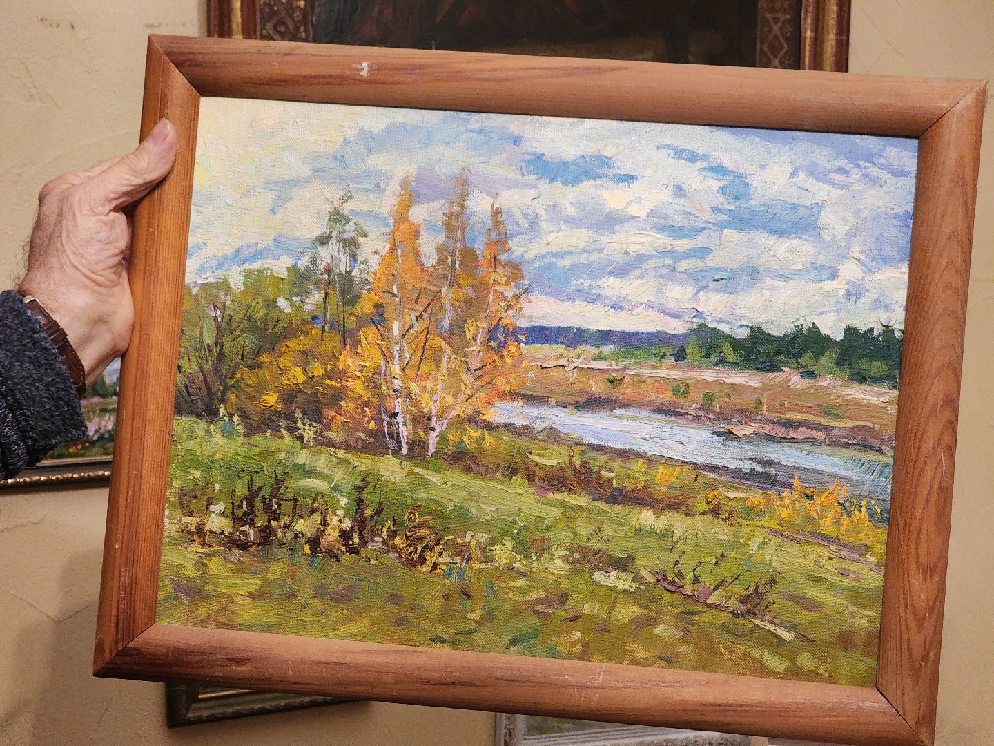 Дубна, Освещение, Свет на улице, Депутат, Помощь населению, вертикалки,