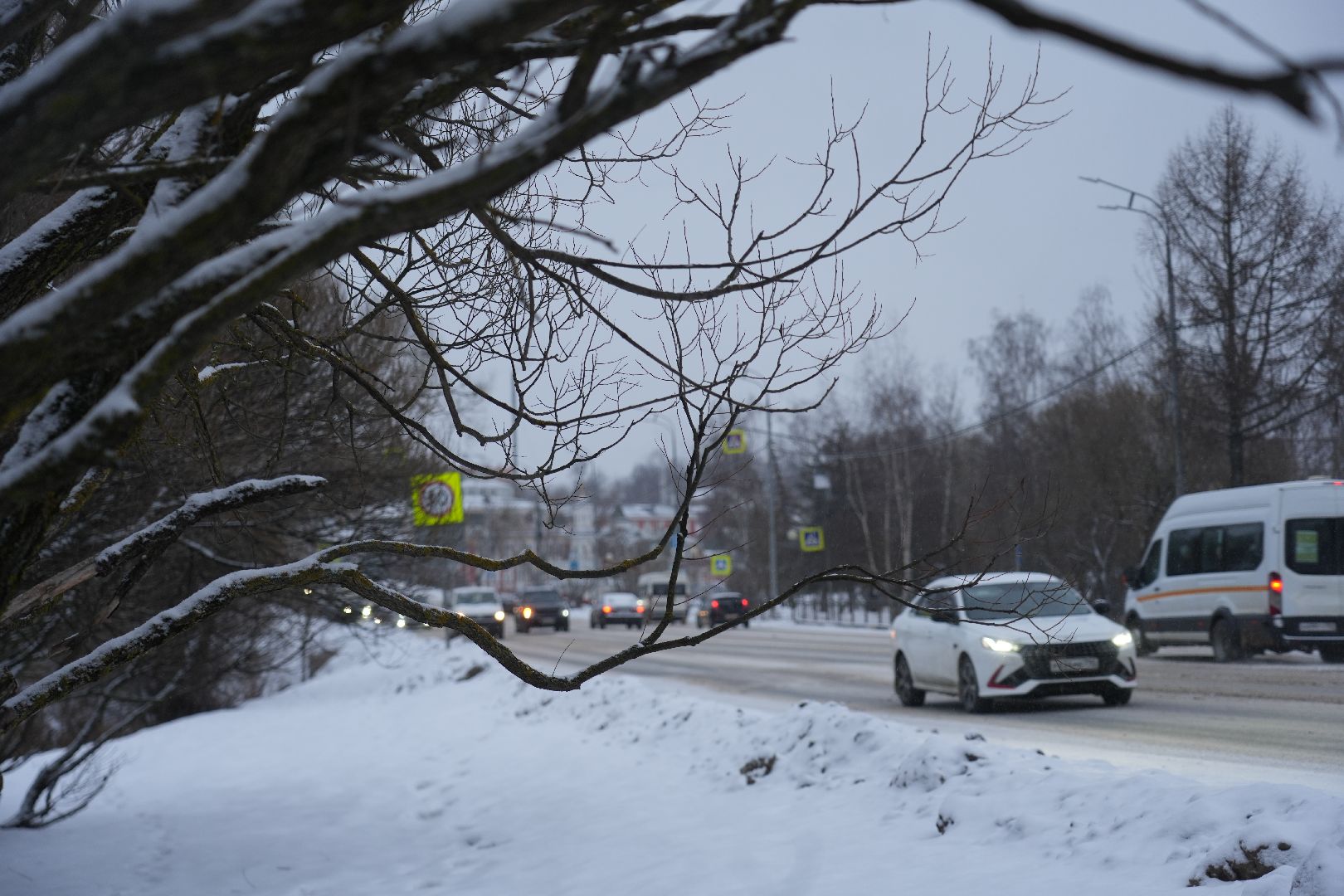 общество, сергиев посад, сергиево-посадский городской округ, благоустройство, арт-объект,