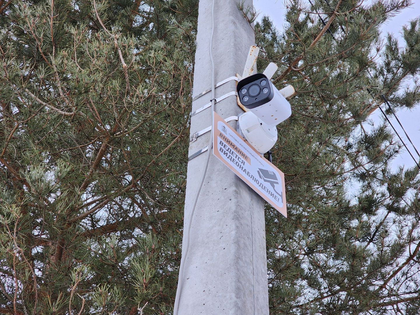 колюбакино, сквер солнышко, руза, благоустройство, выгул домашних животных, рузский городской округ, московская область,