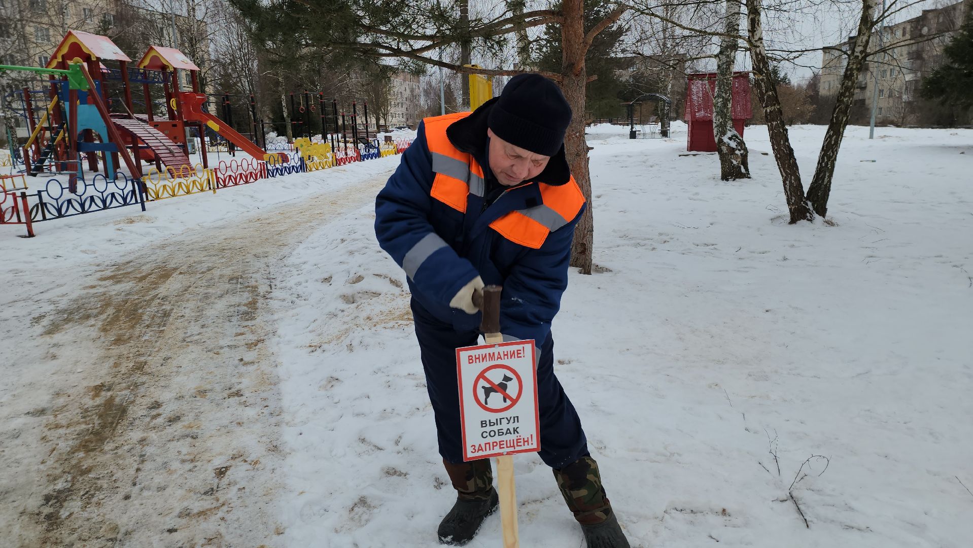 колюбакино, сквер солнышко, руза, благоустройство, выгул домашних животных, рузский городской округ, московская область,