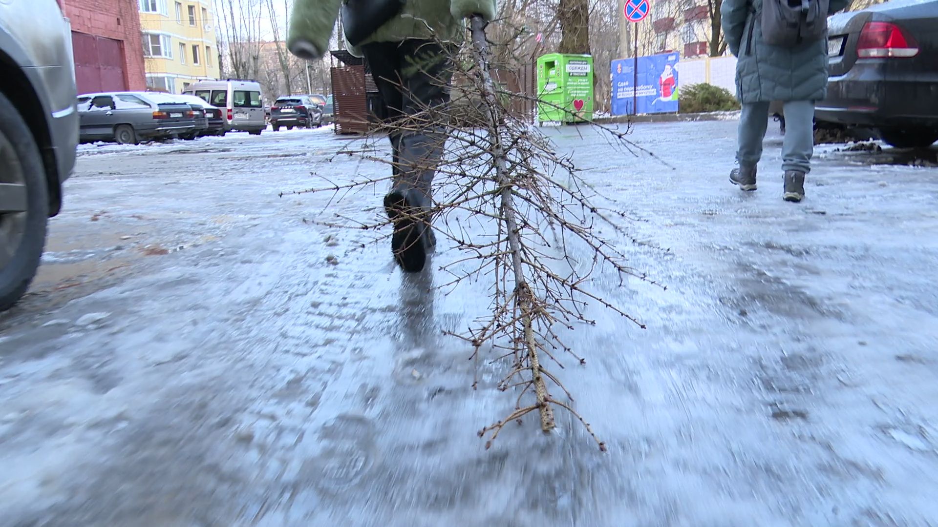 реутов, вертикалки, сбор елок, утиль, переработка, вторая жизнь елке,