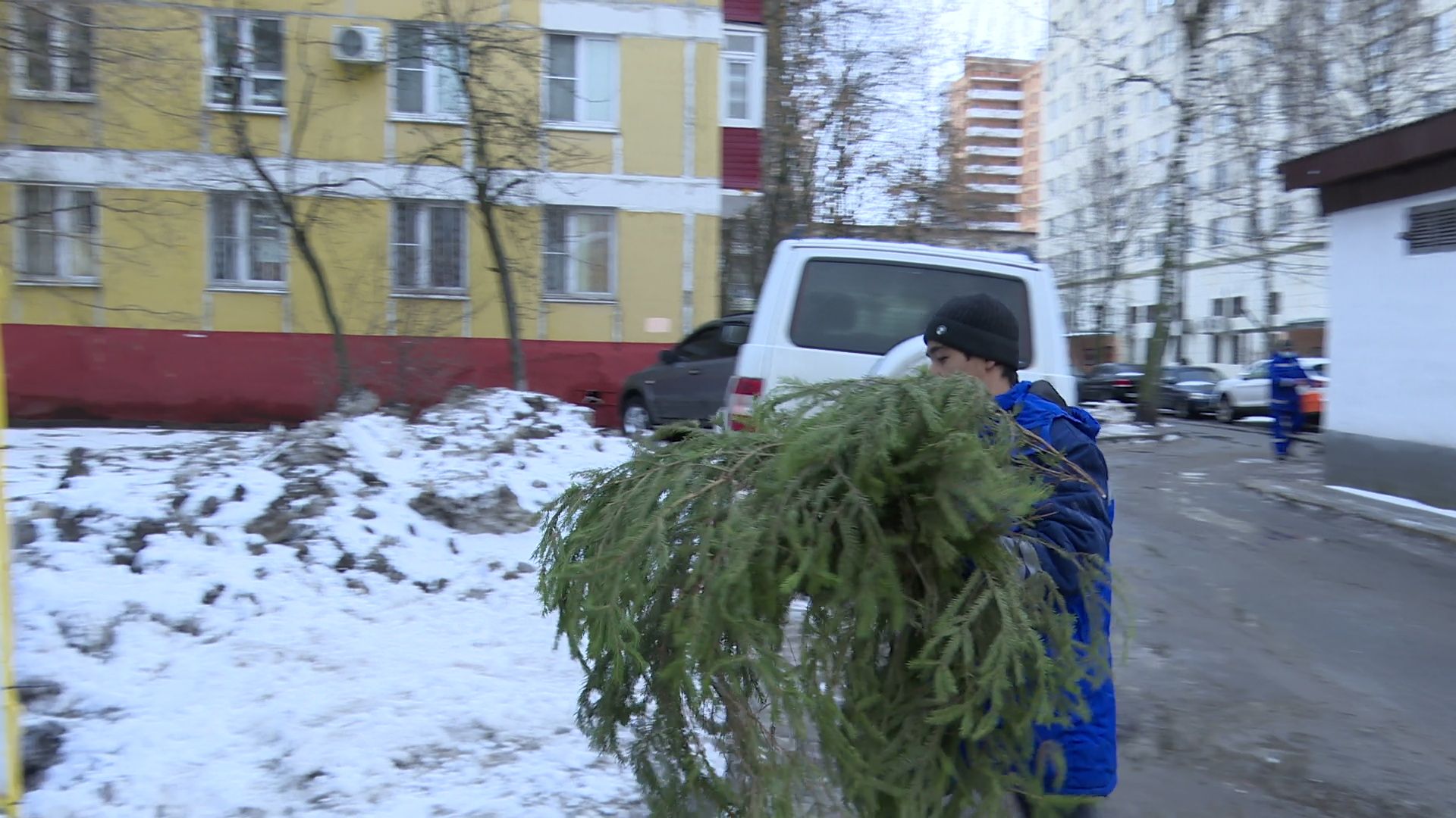 реутов, вертикалки, сбор елок, утиль, переработка, вторая жизнь елке,