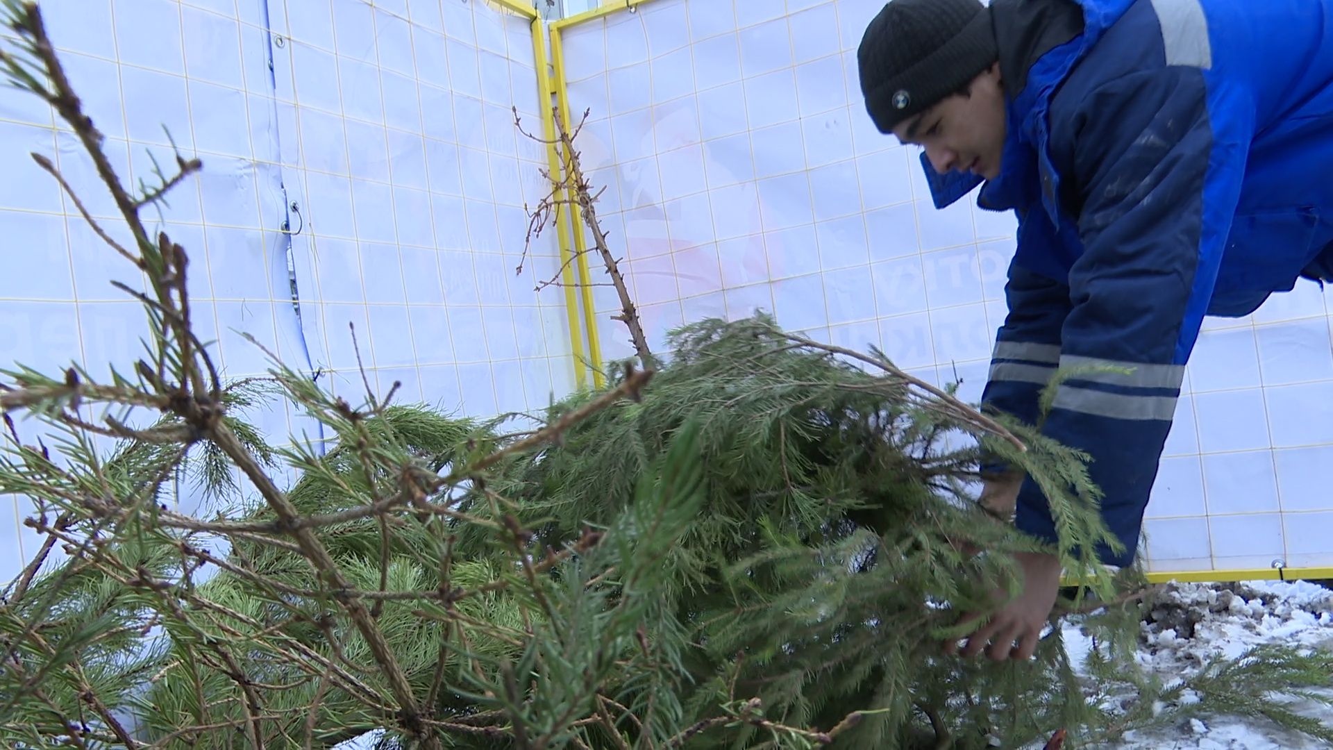 реутов, вертикалки, сбор елок, утиль, переработка, вторая жизнь елке,