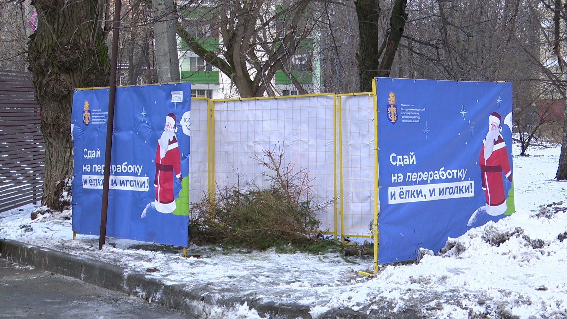 реутов, вертикалки, сбор елок, утиль, переработка, вторая жизнь елке,